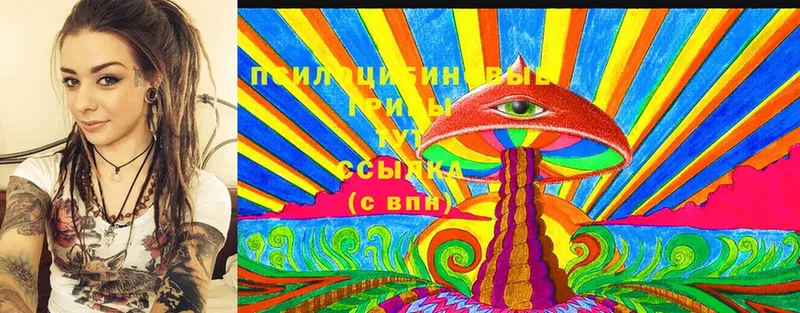 MEGA онион  Гусь-Хрустальный  Галлюциногенные грибы Psilocybine cubensis  где можно купить наркотик 